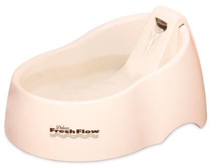 Cat Feeding & Watering - Automatic Feeders & Waterers For Cats